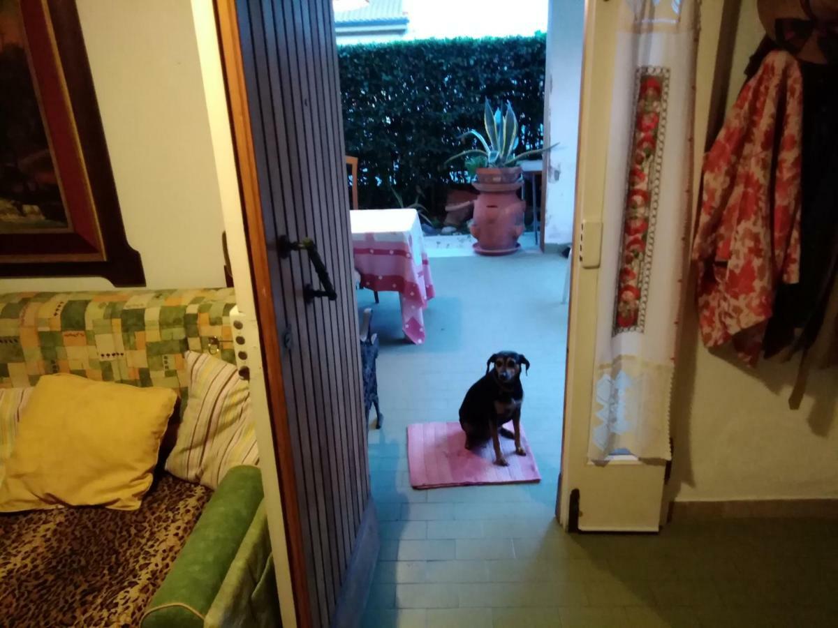 Apartamento Stella *