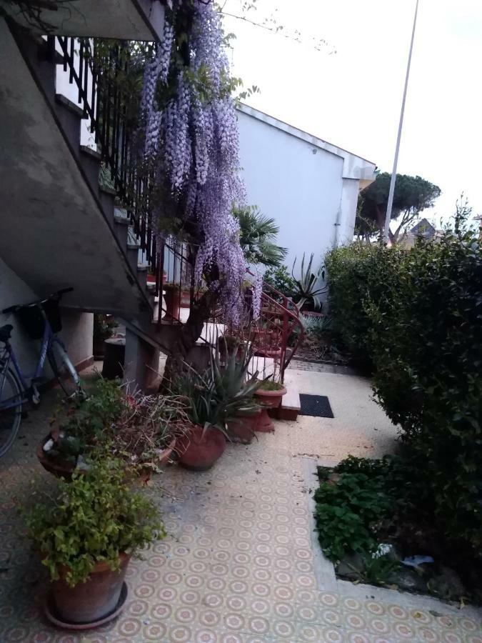 Stella Apartment