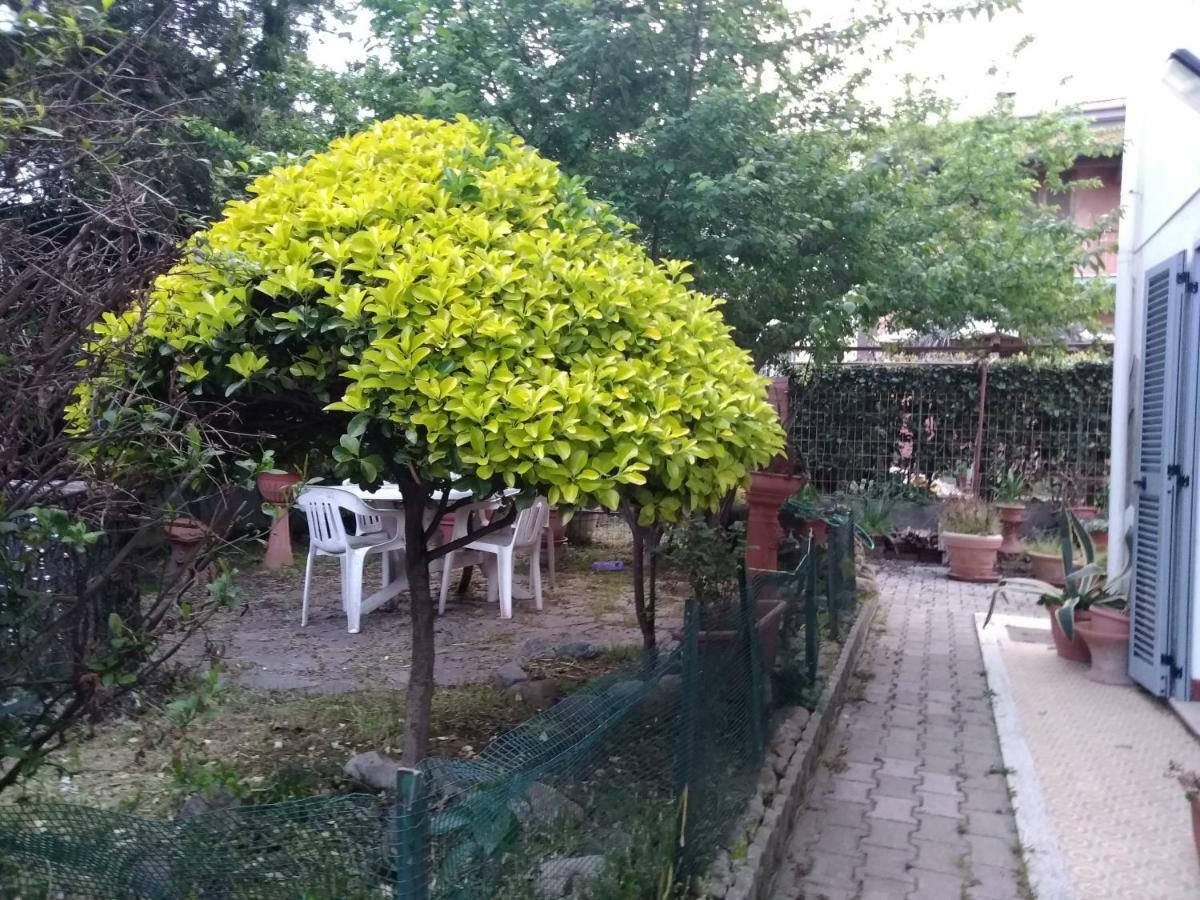 Apartment Stella Cecina (Livorno)