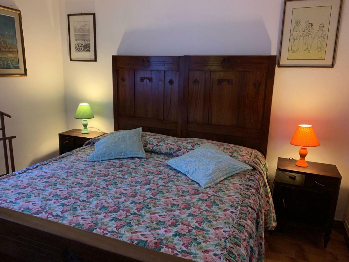 Stella Apartment Cecina (Livorno)